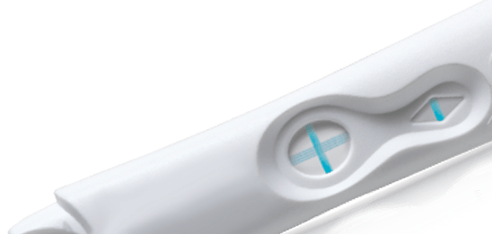 cb6symbolic_main_04
